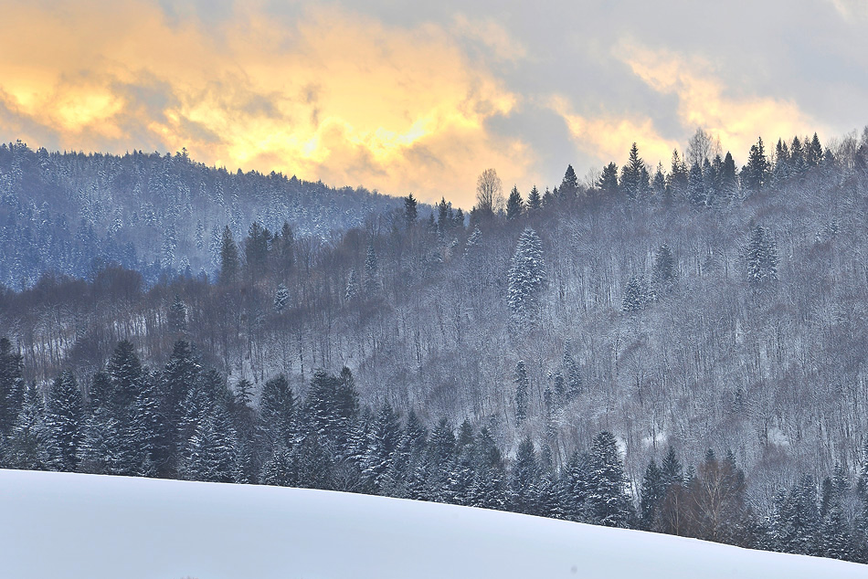 Bieszczady