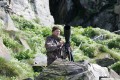 Ptasia wyspa-Norwegia