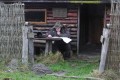 Domek Traperski